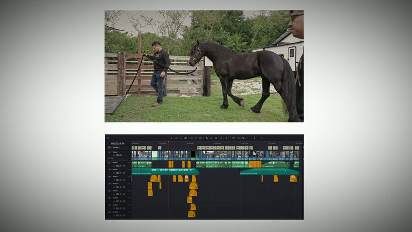 Barbers x Horse Ranch Intro Timeline